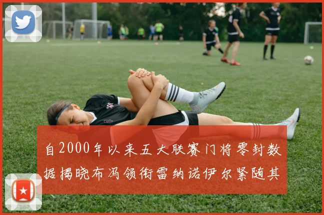 自2000年以来五大联赛门将零封数据揭晓布冯领衔雷纳诺伊尔紧随其后